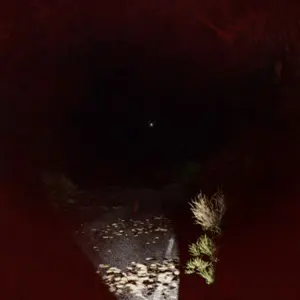 Light - Die to Survive - Estrada