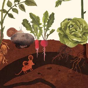 Little Mouse's Encyclopedia - Subterrâneo