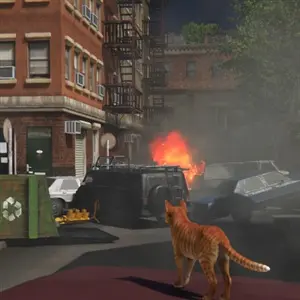 Little Strays 2 Souls of First Light - Gato