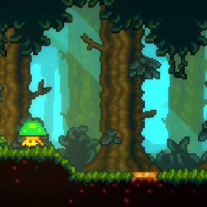 Lone Fungus 2 - Floresta