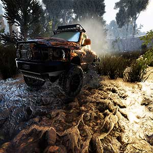 transporte de madeira