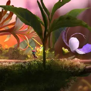 Mari and Bayu - The Road Home - Planta