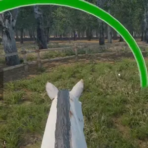Medieval Horse Dealer Simulator - Cavalo de Montaria