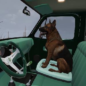 Mon Bazou - Leo no Banco do Passageiro