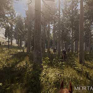 Mortal Online 2 - Floresta