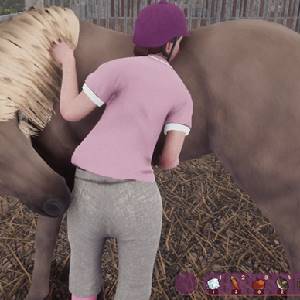 My Horse Bonded Spirits - Cavalo de Petting