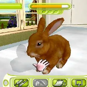 My Vet Practice - Coelho