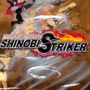 Naruto to Boruto Shinobi Striker Released Along With New Trailer