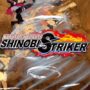 Naruto to Boruto Shinobi Striker Released Along With New Trailer
