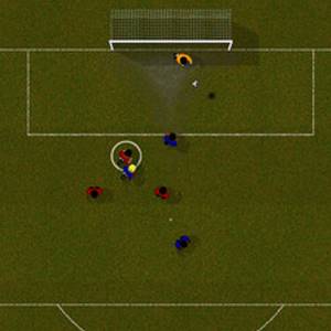 Natural Soccer Vista superior