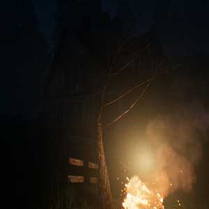 grande superfície florestal