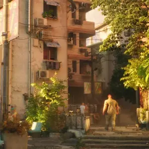 NO LAW - Prédios de Vários Andares