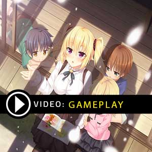 Nora to Oujo to Noraneko Heart 2 Nintendo Switch Gameplay Video