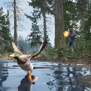 Online 404 - Caça aos Patos