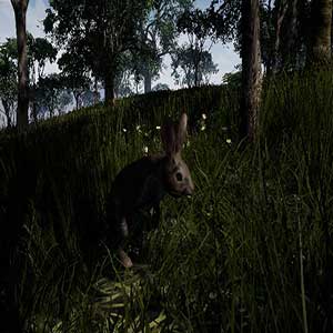 Outback Survival