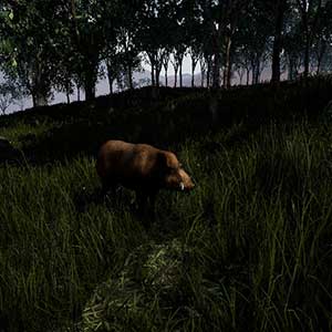Outback Survival