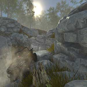 unique characteristics