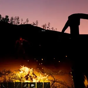 Paradise 2021 - Fogueira