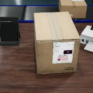 Parcel Simulator - Verificando encomenda