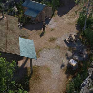 Pathogenesis Overcome Cabine