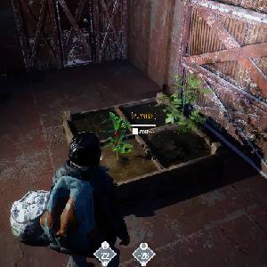 Permafrost - Plantar