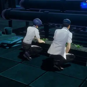Persona 6 - Jardinagem no terraço