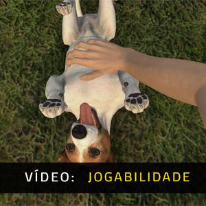 Pets Hotel - Jogabilidade