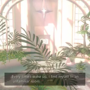 PLATONICA SPACE - Plantas