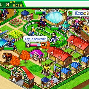 Pocket Stables - Interface do Utilizador