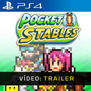 Pocket Stables Playstation 4