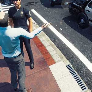 Chaising Criminals