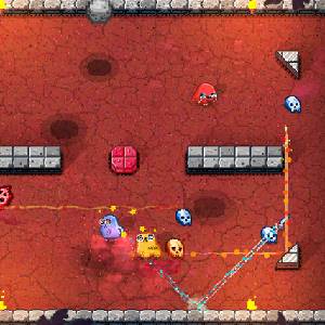 Porcunipine - Porcunicave