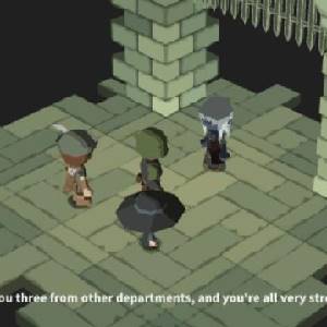 Potato Flowers in Full Bloom - Masmorra