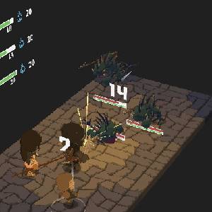 Potato Flowers in Full Bloom - Batalha