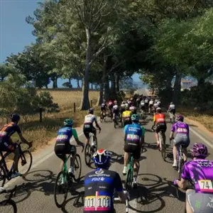 Pro Cycling Manager 25 - Túnel de árvores