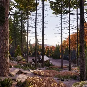 Prologue: Go Wayback! - Cabana na Floresta