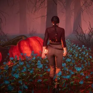 Pumpkin Woods - Abóboras Grandes