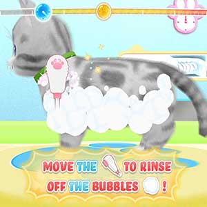 Pups and Purrs Animal Hospital Gatinho