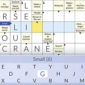 Pure Crosswords - Campos de Resposta