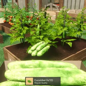 Ranch Farm and Store Simulator - Pepino