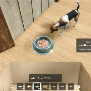Ranch Farm and Store Simulator - Tigela de Comida