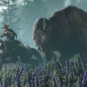 Red Dead Online Bisão
