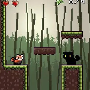 Red Panda is Hungry - Sombras