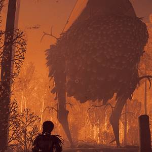 Floresta em Chamas de Reka