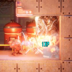 Rusty Rabbit – Broca