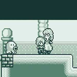 terrestrial human world