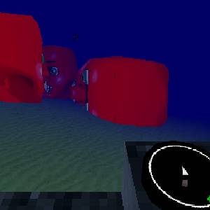 Sea under the sea under the sea - Cabeças