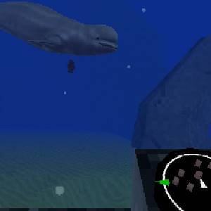 Sea under the sea under the sea - Baleia