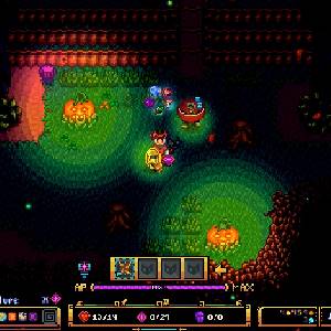 Serin Fate - Abóbora