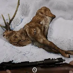 Short Snow - Caça ao veado